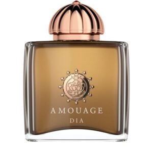 AMOUAGE DIA WOMAN POUR FEMME EDP100ML - Image 1