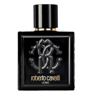 ROBERTO CAVALLI UOMO EDT SPRAY 100ML - Image 1